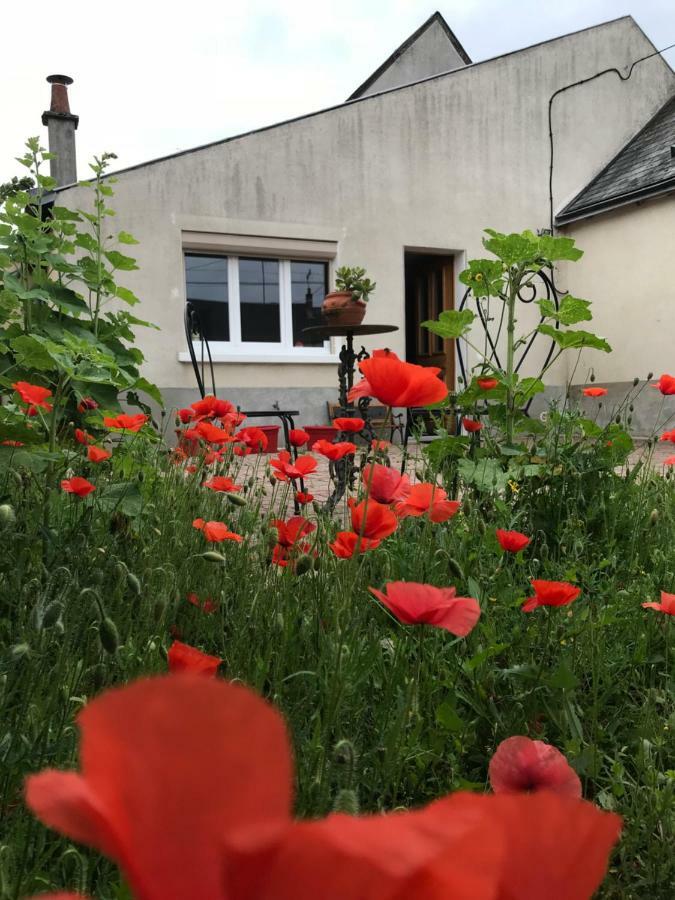 Gite Du Parc Des Mauves Meung-sur-Loire Exterior photo